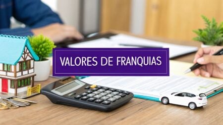 Valores de Franquias: Guia Completo Para o Investimento Certo thumbnail 27