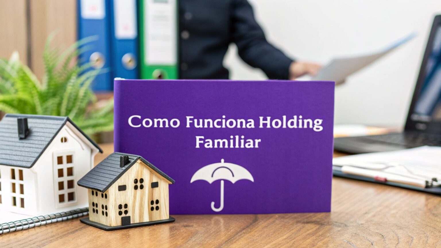 Como Funciona Holding Familiar: O Guia Definitivo para Proteger Seu Patrimônio thumbnail 3